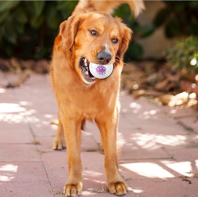 Petstages Nubbiez Treat and Squeak Ball Dog Toy