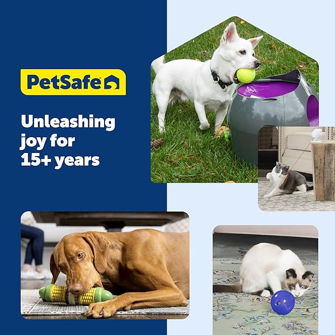PetSafe Busy Buddy Nobbly Nubbly Treat Holding Dog Toy – Strong Chewers – Challenging - Treat Rings Included - Large