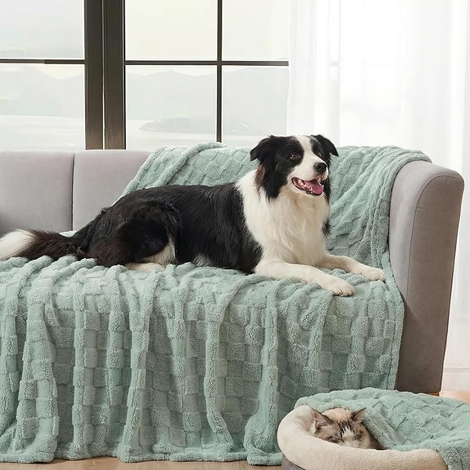 David's Home Large Dog Blankets Washable Pet Bed Cover, Soft Fluffy Fuzzy Cat Puppy Blanket with Premium 300GSM Fleece for Pet Kitten Doggy, Aqua Gray, 50x60IN