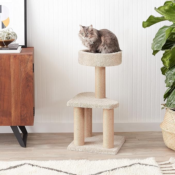 Amazon Basics Cat Tree - Indoor Cat & Kittens Multi-Level Climbing Activity Tower with Scratching Posts, Medium (31.5" H) - Beige