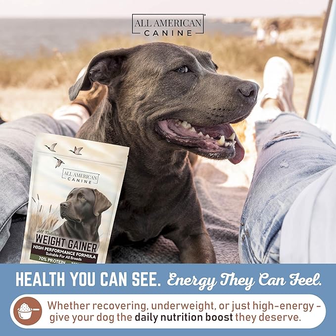 All American Canine Dog Weight Gainer – High Calorie Dog Food Supplement & Protein Powder for Rapid Weight Gain, Mass, and Recovery – Appetite Stimulant – 60 Servings