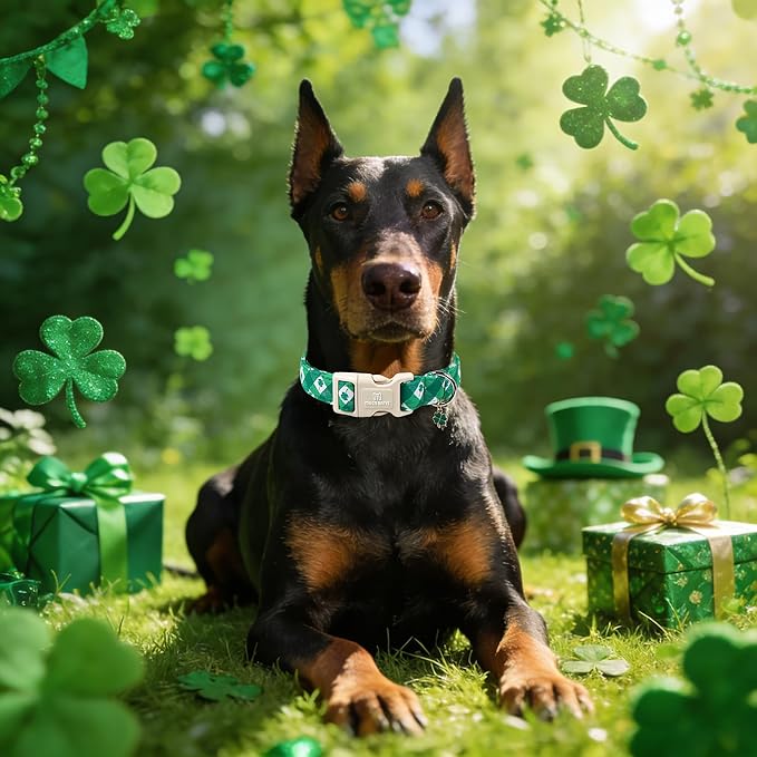 Maca Bates St. Patricks Dog Collar with Clover Charm for Extra Small Girl Boy Dogs, Green Plaid,Argyle Pattern,Adjustable Durable Soft Checkered Collars Irish Shamrock Gift for Male Female Puppy
