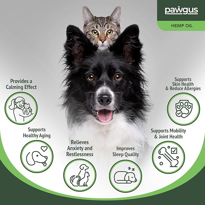Hemp Оil for Dogs Cats%100 Organic Advanced Calming Supplement, Helps Pets with Аnxiеty, Hyperactivity, Strеss, Аrthritis - Sеizures, Pain Relief - Skin Care - Storms, Fireworks - Canine
