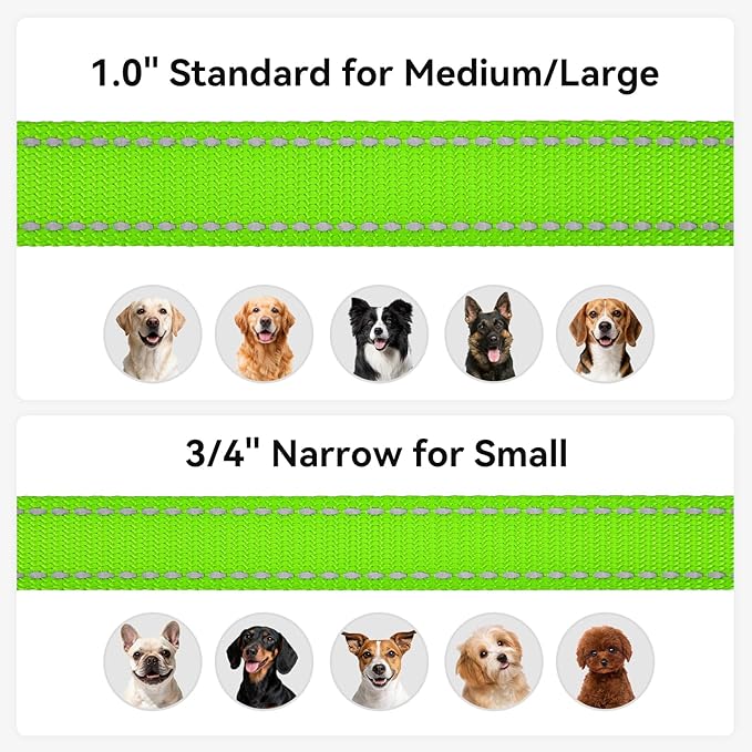 Joytale Dog Leash, 4 FT Double-Sided Reflective, Padded Handle Nylon Heavy Duty Leashes for Medium & Large Dogs Walking, Green