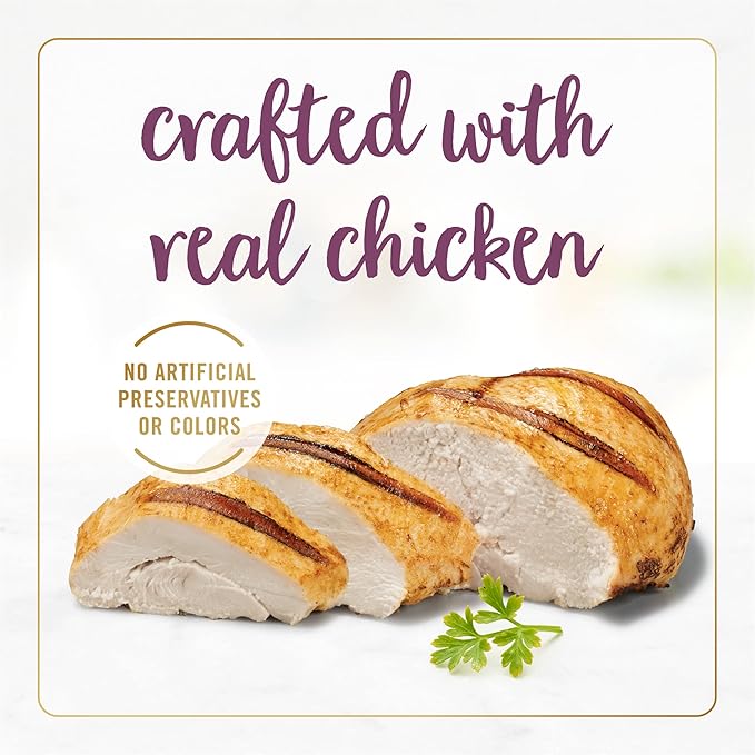 Purina Fancy Feast Gravy Lovers Chicken Feast in Grilled Gourmet Wet Cat Food – (Pack of 24) 3 oz. Cans