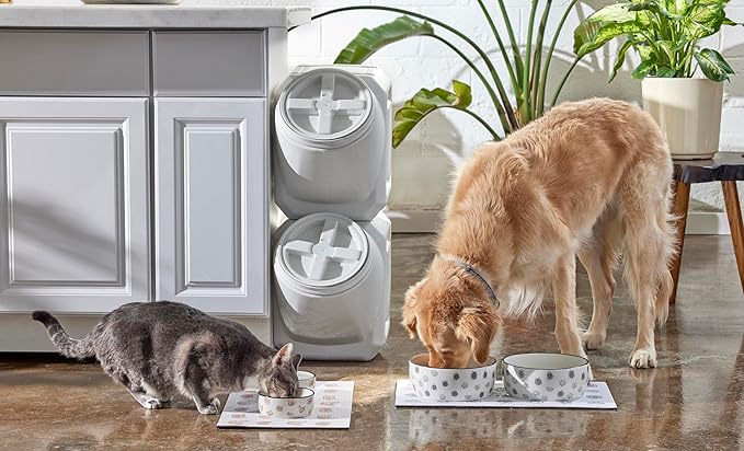 Pearhead Ceramic Cat Bowl – Cute Cat Face Water & Food Dish, Wide Shallow Whisker-Friendly Design for Kittens & Small/Medium Cats, Heavy Non-Slip Pet Feeding Bowl 2-Cup (Pack of 2)