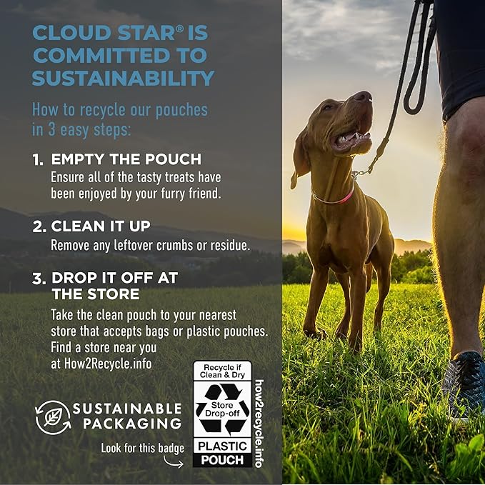 Cloud Star Tricky Trainers Chewy Dog Treats, Salmon, 5 oz. Pouch