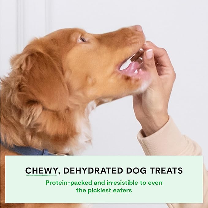 Open Farm, Dehydrated Dog Treats, High Protein & Low Carbohydrate Dog Snacks, Chewy Texture, Made with Ethically & Sustainably Sourced Ingredients, Pork Recipe, 4.5oz Pouch