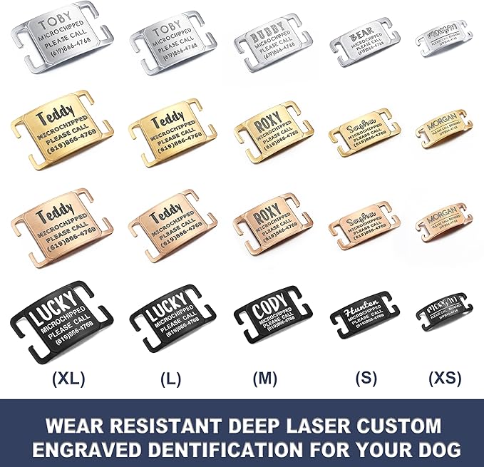 Deep Laser Custom Font Engraved Slide - No Noise Collar Tags, Hand-Brushed Stainless Steel, 5 Lines of Personalized Text - Pet ID Name Tags for Dogs & Cats - Medium