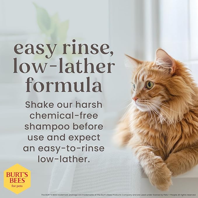 Burt's Bees for Pets Tearless Kitten Shampoo with Buttermilk, 99.3% Natural Origin Formulas, Pet Cleanser for Cats, Gentle Cat Wash for Itchy Skin, 6pk, 10 oz