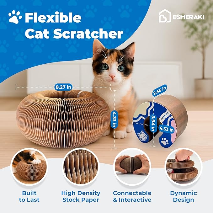 Kitty Kurlz Cat Scratcher Bundle for Kittens & Active Cats - Twisty Paws Reversible Infinity Kitty Curls Interactive Scratching Board, Stress-Relieving Cat Toy with Pet Hair Removal Glove & More