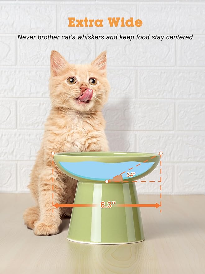 LoeJan Elevated Green Cat Bowls Set - Wide Raised Ceramic Feeder, Anti-Vomit Whisker-Free Bowl for Kittens to Adult Cats
