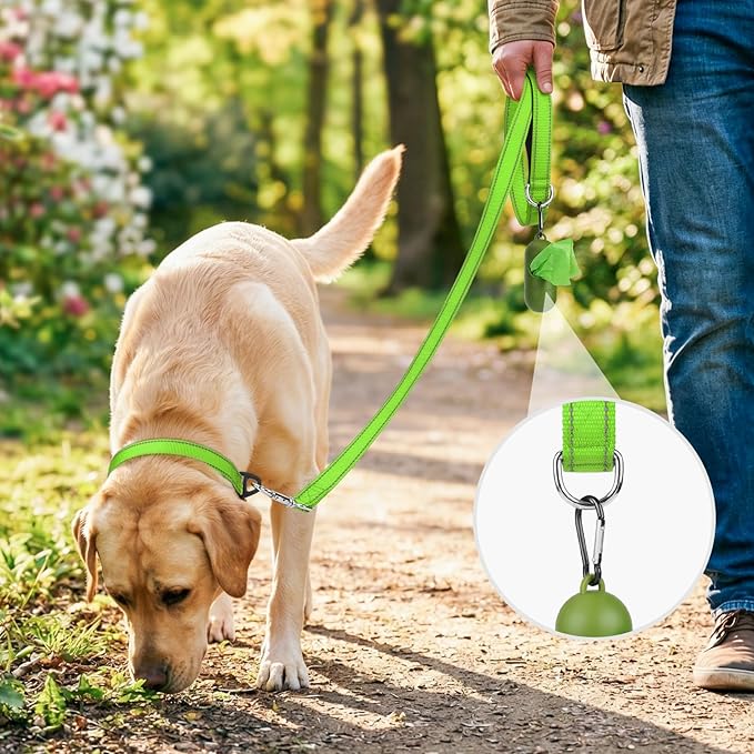 Joytale Dog Leash, 6 FT Double-Sided Reflective, Padded Handle Nylon Heavy Duty Leashes for Small Dogs Walking, Green