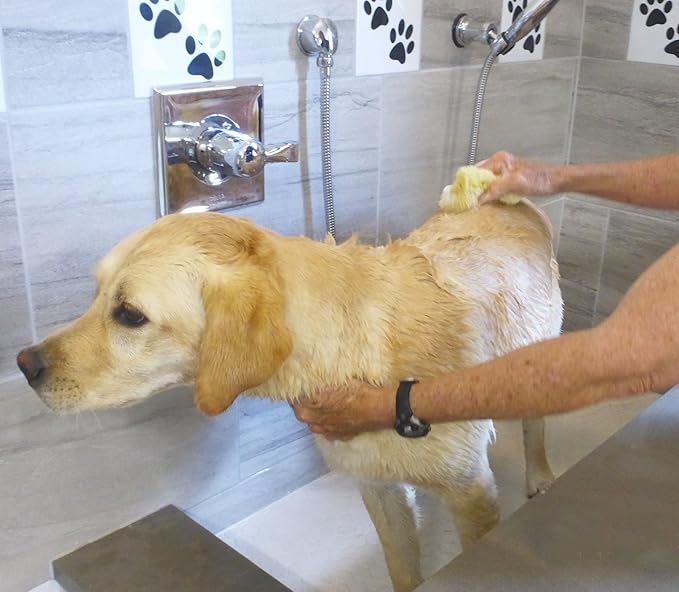 Sea Sponges for Dogs - Luxury Canine Bath Care, for Pet Grooming, Soft & Gentle Pampering