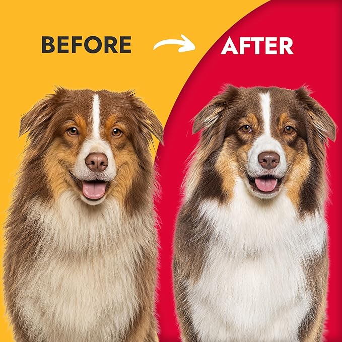 KONG Double-Sided Rake & Deshedding Tool – Detangling & Shedding Control, Rounded Metal Tips, Non-Slip Grip, for Medium to Large Dogs with Medium to Long Coats, Red/Gray