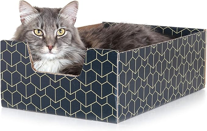 Purrfect Cat Box Modern Cat Box Lounger with Peek-a-Boo Cutout | Premium Corrugated Cardboard Cat Bed for Sleeping and Relaxation | Interactive Board Box for Indoor Kittens and Small Pets, Blue