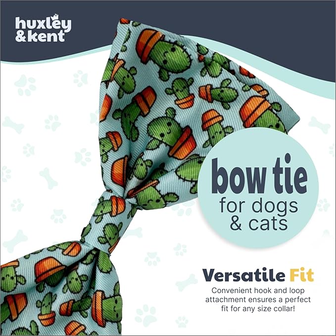 Huxley & Kent Pet Bow Tie for Dogs & Cats - Adjustable Hook & Loop Collar Accessory - Cute & Comfortable for Holidays & Celebrations - I'm Prickly Cactus, Large