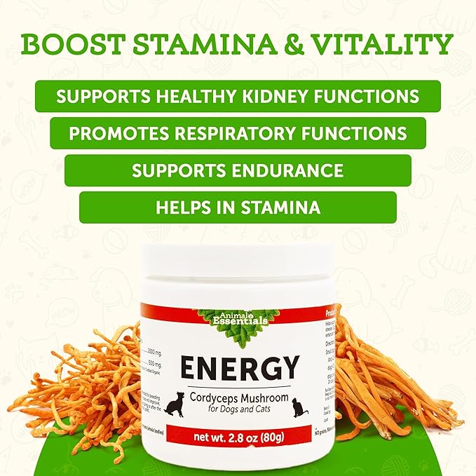 Animal Essentials ENERGY Cordyceps Mushroom Supplement for Dogs & Cats - Support Stamina & Endurance, Healthy Respiratory & Kidney Functions, Antioxidant, Mushroom Powder Extract - 2.8 Oz (Pack of 1)