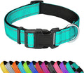 Reflective Dog Collar, Adjustable Soft Neoprene Padded Nylon Pet Collars with Buckle for Puppy and Small Dogs, Cats, Teal,XS