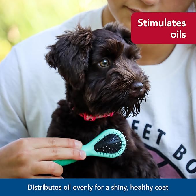 Coastal Pet Li'l Pals Dog Combo Brush - Dog Grooming Brush for Small Dogs - One Size