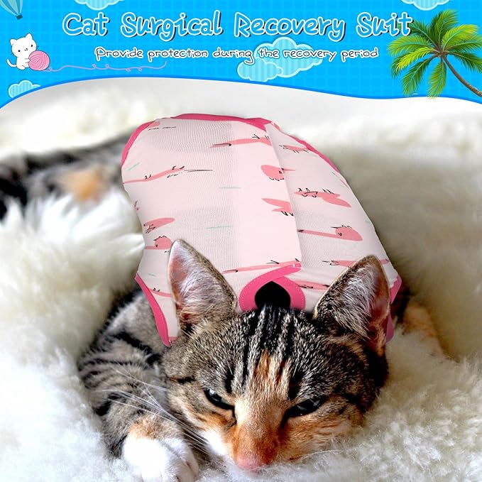 Kacctyen 6 Set Cat Recovery Suit After Surgery Female and Male Cat Kitten Surgery Suit E Collar Alternative Pajama Kitty Clothes for Spay Abdominal Skin Anti Licking(Animal,Medium)