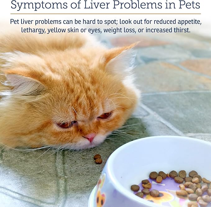 Rx Vitamins Liquid Hepato - Liquid Liver Support Supplement with Milk Thistle Extract - Hepatic Dog Supplement Enriched with Vitamin B Complex - Chicken Flavor (4oz)