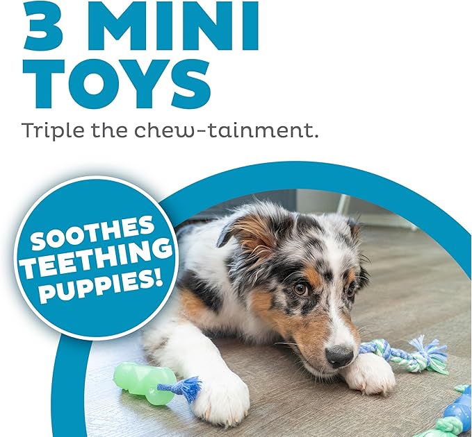 Mini Dentachew Pack Dental Chew Toy, Multi-Textured, Fetch & Tug Rope, Puppies & Small Dogs, 7", 3-Pack