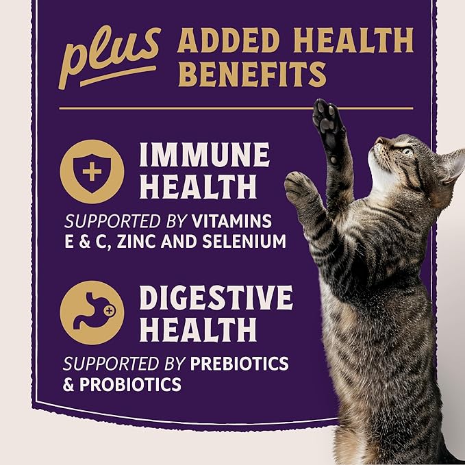 Natural Balance Ultra Protein Plus Dry Cat Food, Immune & Digestive Health Real Chicken & Chicken Meal Recipe with Nutrient-Rich Organs, High Protein Cat Food for Picky Cats - 2.5 lbs.