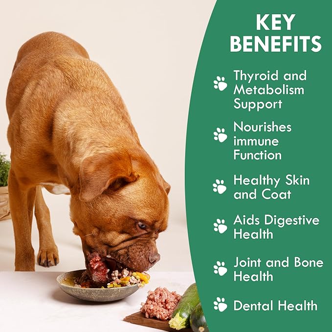 Holistic Bin Canine Atlantic Sea Kelp Dog Food Toppers | Supplement Powder with Iodine and Minerals | Pet Essentials | For Shiny Coat and Skin Wellness | Gut Flora & Oral Freshness | Canine Kelp (50g)