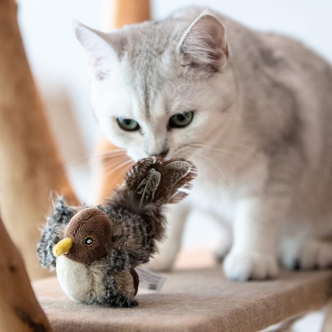 Gigwi Chirping Bird Cat Toy for Indoor Cats, Interactive Hangable Bird Cat Toy with Real Bird Sound and Feather, Automatic Bird Toy for Cats Exercise & Kicker to Self Play（No Flapping）