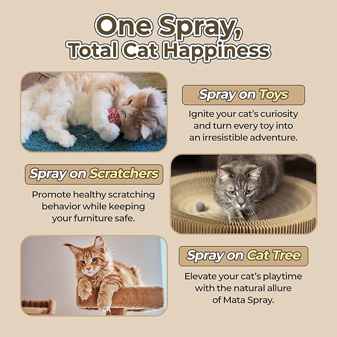 JAYU PET Active MATA Spray – 100% Natural Silvervine Spray for Cats, Liquid Catnip Alternative, Calming Mist for Indoor Kittens, Boosts Play & Engagement, Reduces Stress (1 fl oz)