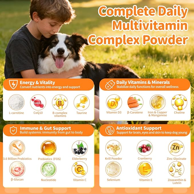 Dog Vitamins and Supplements for Daily Energy, Immune, Antioxidants, Gut, Skin & Coat, Dog Multivitamin Powder for Homemade Food with L-Carnitine, Taurine, Probiotics - Beef Flavor, 75 Scoops