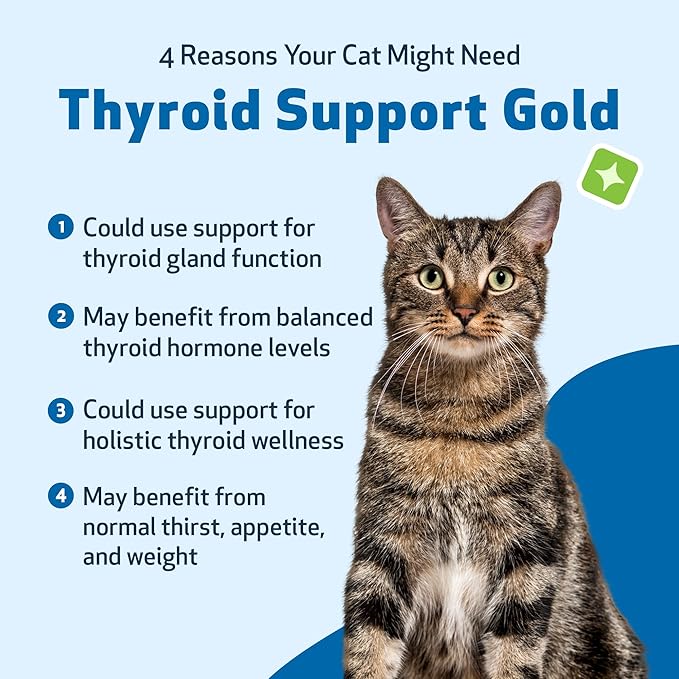 Pet Wellbeing Thyroid Support Gold for Cats - Holistic Thyroid Balance with Bugleweed & Lemon Balm, Feline Metabolic Health Supplement - NASC Certified & Vet-Formulated - 2 oz Liquid Formula