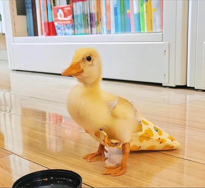 2 Pack Chicken Diapers for Hens, Roosters, Diapers for Ducks, Ducklings, Reusable Pet Diaper with Bow Ties Waterproof Poultry Nappies for Geese Pet Ducks,Pineapple&Yellow Duck,S