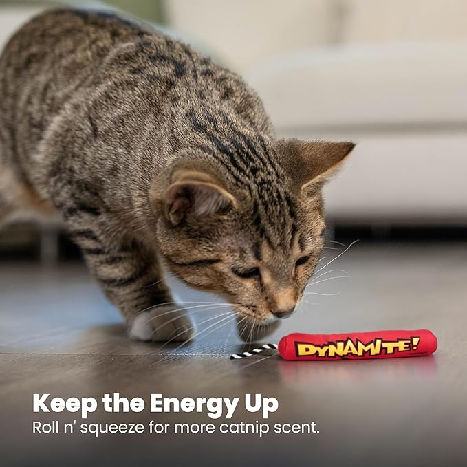 Catstages Green Magic Dynamite Stick Catnip Cat Toy (Pack of 2)