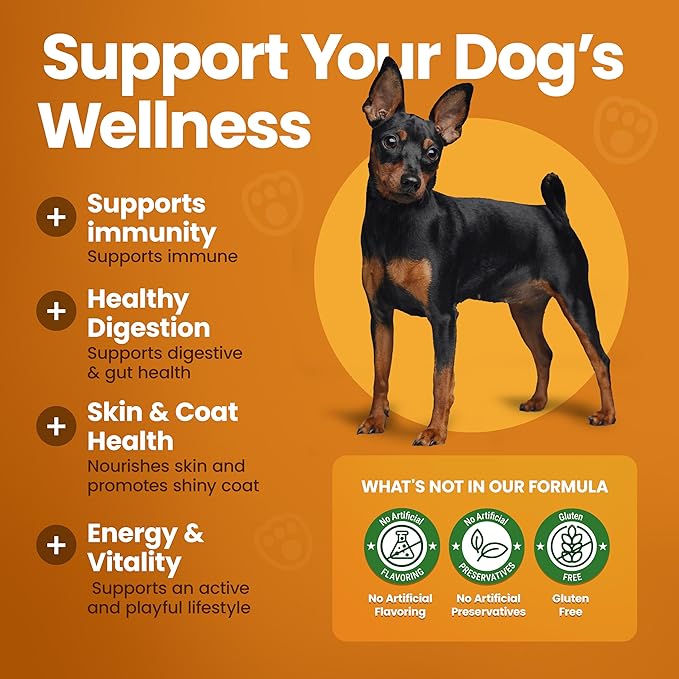 Dog Multivitamin Chewable Dog Vitamins and Supplements with Glucosamine, Probiotics & Omega – 120 Dog Vitamins Multivitamin for Skin, Coat, Joint & Immune Health