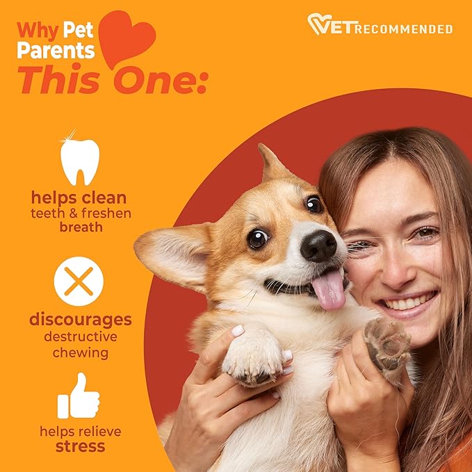 Nylabone Strong Chew Original Bone Dog Toy Made with Real Chicken, Durable Chew Toys for Aggressive Chewers, Long Lasting Dog Bone, Keeps Dogs Busy, Large Breeds - Up to 50 lbs