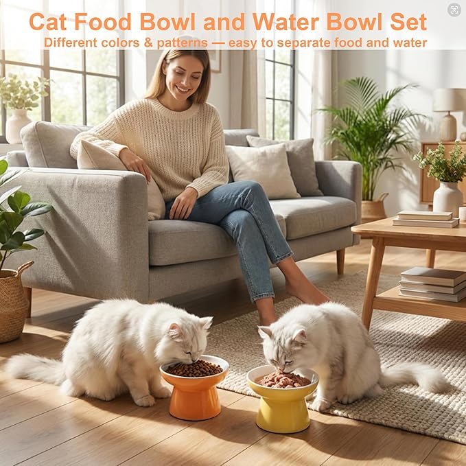 Ceramic Raised Cat Bowl, Elevated Cat Food Bowl with Non-Slip Base,Whisker Friendly Shallow Feeder for Dry & Wet Food, Dishwasher Safe, Anti Vomiting (Orange)