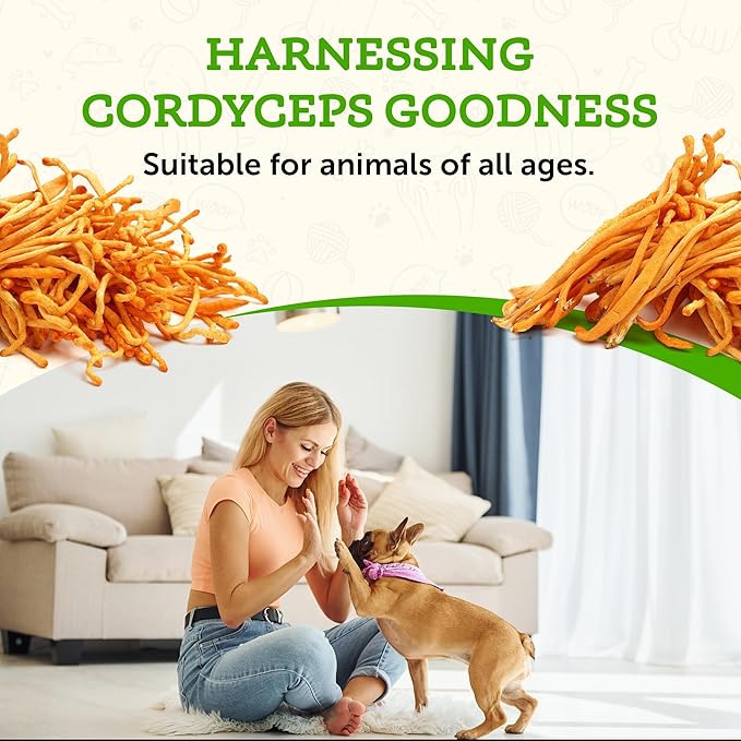Animal Essentials ENERGY Cordyceps Mushroom Supplement for Dogs & Cats - Support Stamina & Endurance, Healthy Respiratory & Kidney Functions, Antioxidant, Mushroom Powder Extract - 2.8 Oz (Pack of 1)