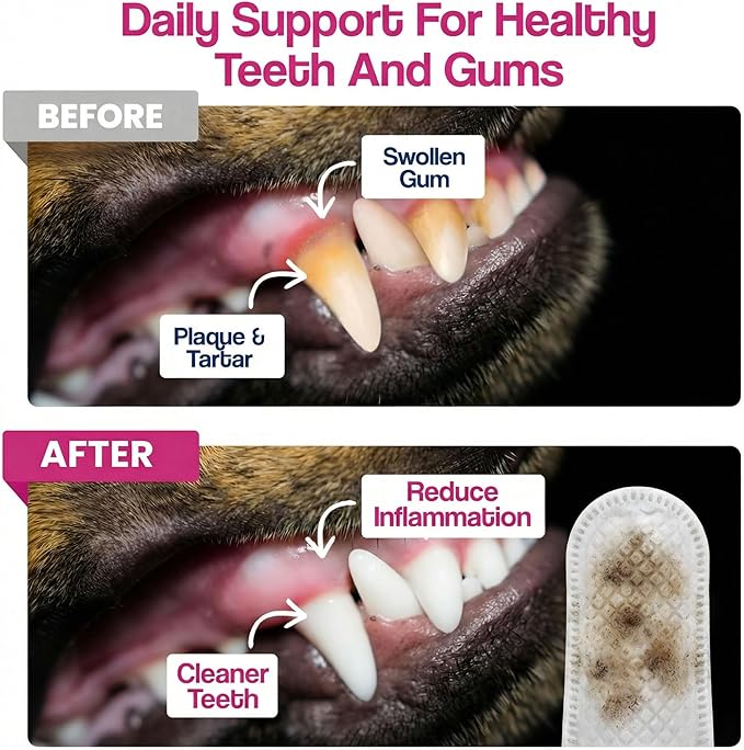 Pet Dental Finger Wipes - Natural Ingredients, Easy to Use Dog Teeth Cleaning Wipes for Effective Dog Teeth Cleaning - Ideal Dog Dental Wipes for Optimal Oral Hygiene