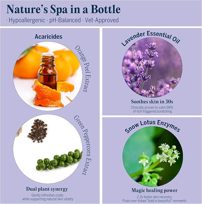 Pretty Kitty Waterless Cat Dry Shampoo with Grooming Glove (Left-Handed)– No Rinse, Lick-Safe, Moisturizing for Dry Skin, Dandruff, Deshedding, Wash Soap Spray Foam for Kitten