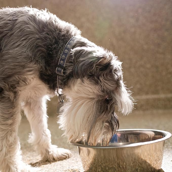 Stainless Steel Dog Bowl 2-Pack Metal Food and Water Dish (8.8" inch Outer Diameter) Pet Feeder Replacement Bowls Dishwasher Safe, Easy to Clean (7.8 Cups)