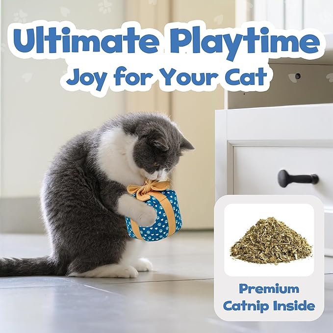 Gift Box Catnip Toy – Birthday Cat Toy with Catnip & Crinkle, Cute Plush Present for Indoor Cats, Birthday & Valentines Day Cat Gift