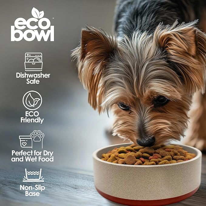 Palz&Co EcoBowl with Lid for Dogs & Cats, 48 oz Cinnamon - Natural Bamboo Pet Bowl with Non-Slip Base, Pet Food and Water Dish, Dishwasher Safe