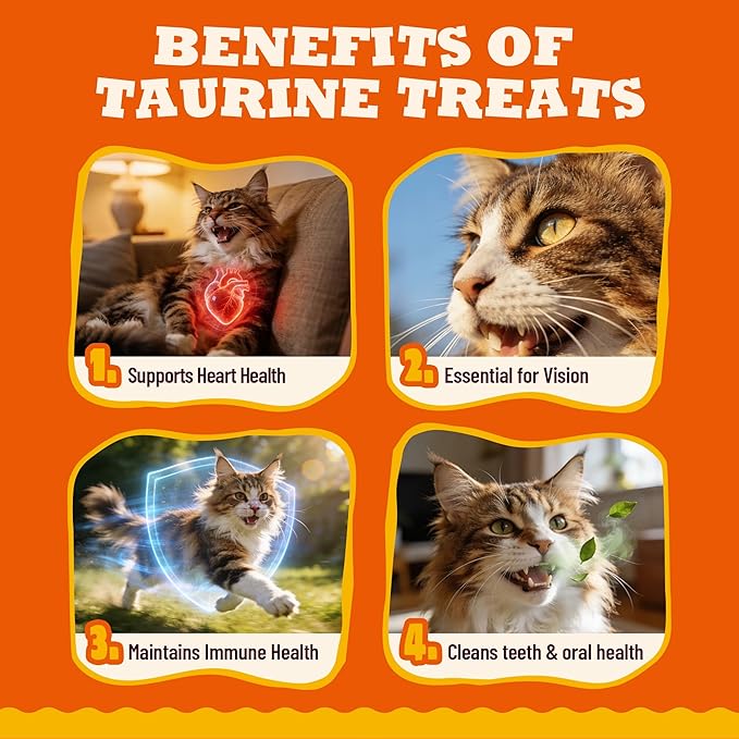 8 oz Taurine Cat Treats Taurine for Cats Chicken Flavor Cat Training Treats Cat Immune Support Healthy Cat Snacks
