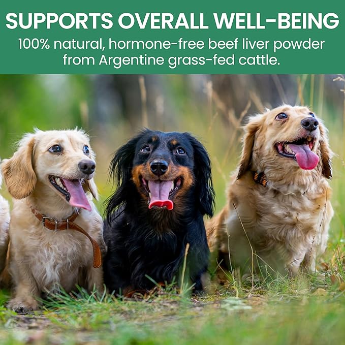 Holistic Bin Canine Beef Liver Dog Food Toppers | Supplement Powder with Iron, B-Complex & Vitamin A | Daily Pet Meal Essentials | for Shiny Coat and Skin Health & Overall Wellness | Beef Liver (50g)
