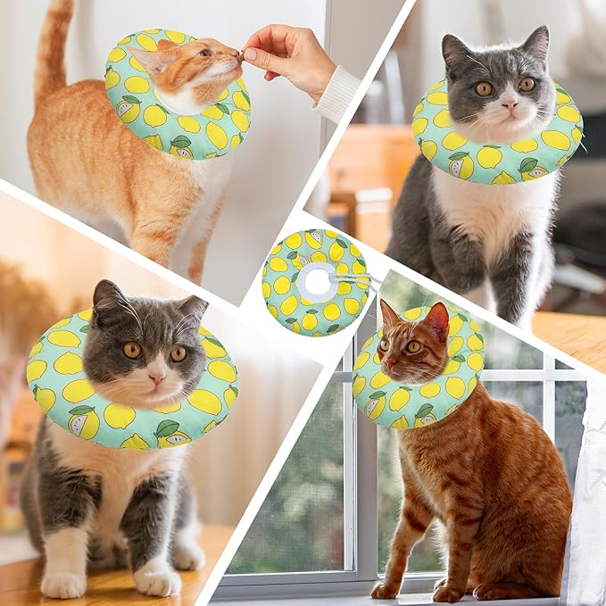 Seyezo Cat Cone Collar Soft, Adjustable Cat Recovery Collars to Prevent Licking, Cute Donut E Collar After Surgery, Wound Healing Elizabethan Collar for Kittens(Green Lemon, Large)