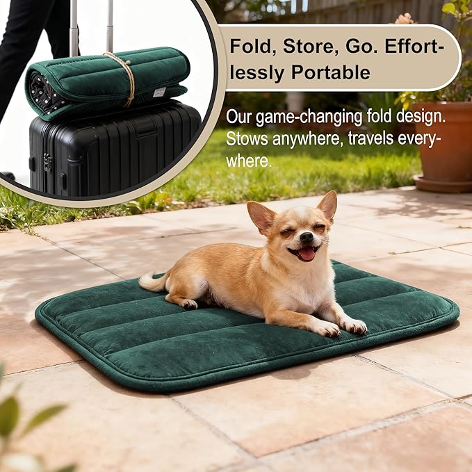 Dog Crate Pad, Ultra Soft & Anti-Slip Kennel Mat, Secure Fit for Metal Crates & Dog Cages, Washable Cozy Bed for Small Medium Large Dogs (Green, S(23"*14"*1.5"))