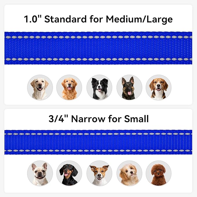 Joytale Dog Leash, 4 FT Double-Sided Reflective, Padded Handle Nylon Heavy Duty Leashes for Small Dogs Walking, Navy Blue