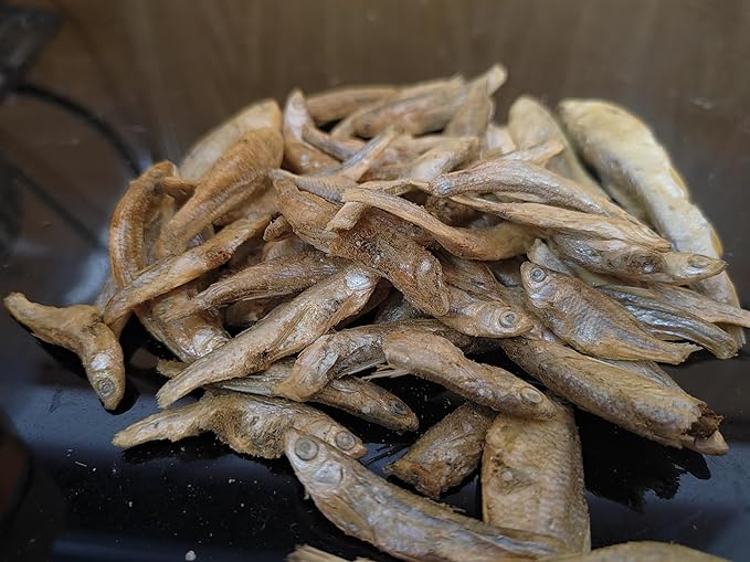 Minnows Dog Treats, Single Ingredient Dried Minnows for Dogs & Cats, Air Dried, Grain-Free, High-Protein, 100% Natural Premium Cat & Dog Treats 4.5 oz (8 OZ)